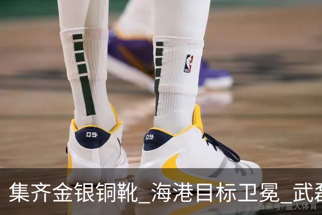 集齐金银铜靴 海港目标卫冕 武磊的伤是个麻烦